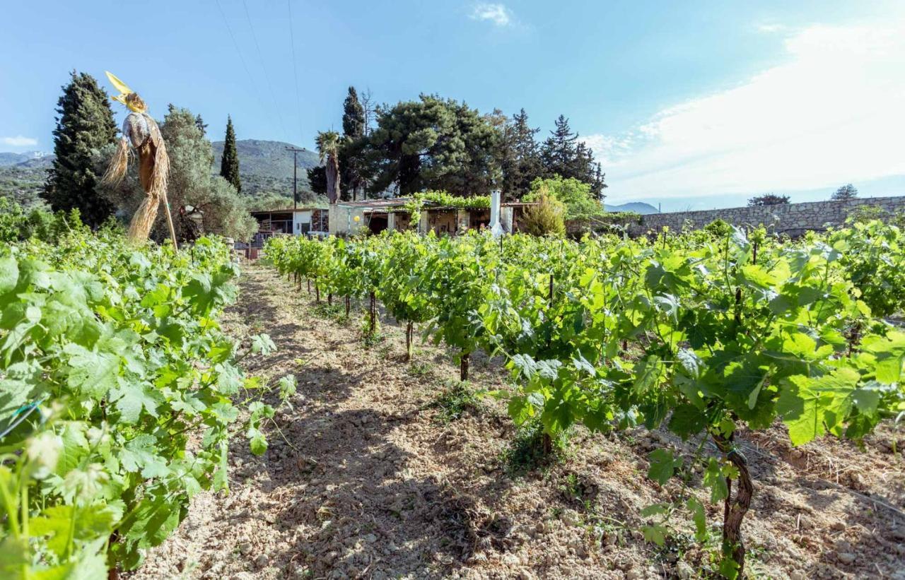 Willa Nassibe Estate Agios Ioannis  Zewnętrze zdjęcie